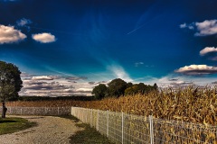 champlieu-septembre-5